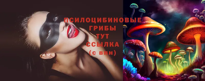 Галлюциногенные грибы Cubensis  Дубна 